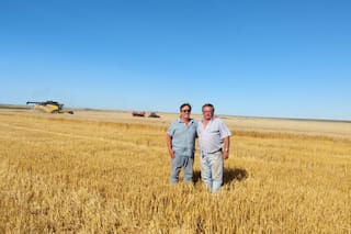 En persona: el abecé para un trigo de 10.000 kilos en el norte de la Patagonia