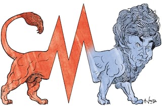 Diagnósticos simplistas, conductas agresivas y narrativas de nicho: todo lo que Milei debería cambiar