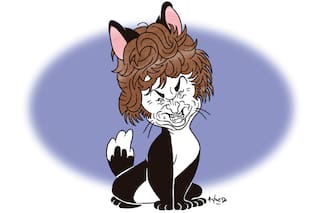 La debilidad de la institución invisible