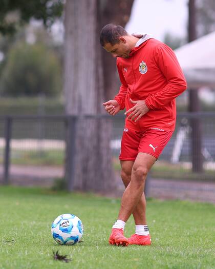 Javier "Chicharito" Hernández podría ser parte de la convocatoria para el partido contra América (X/@Chivas)