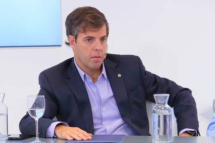 Javier Goñi, gerente general de Ledesma