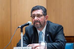 Javier Herrera Bravo