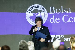 El costo fiscal en soja será de US$300 millones en 2027