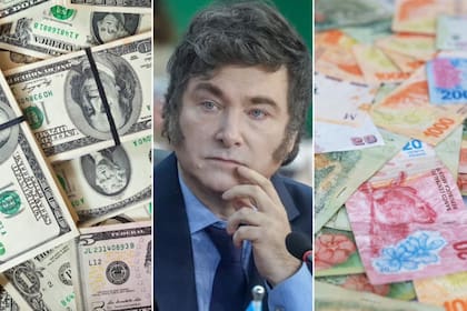 Javier Milei, con billetes de dólares y pesos