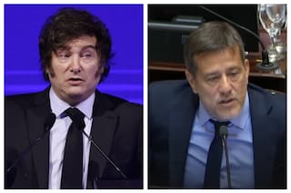 Milei difundió un video editado de Mariano Recalde y el legislador lo cruzó