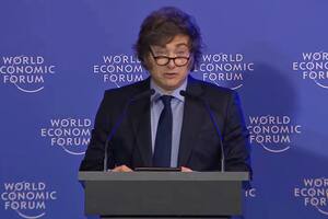 Javier Milei durante su discurso en el World Economic Forum.