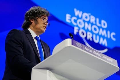 Javier Milei durante su exposición en el Foro Económico Mundial (WEF)