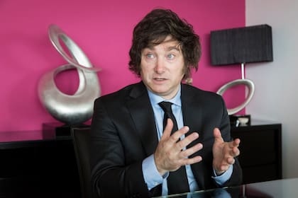 Javier Milei, economista y candidato a diputado.