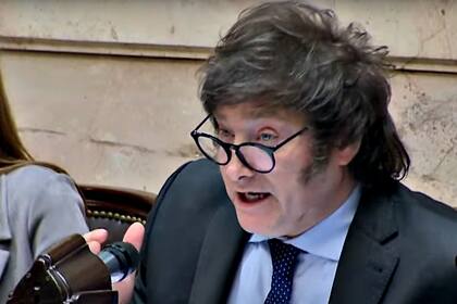 Javier Milei en Diputados