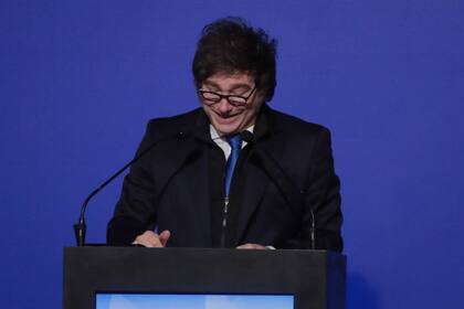 Milei, contra el Congreso: "Votan estupideces"