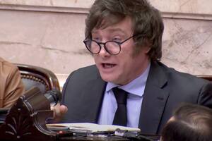 Javier Milei en la cámara de Diputados