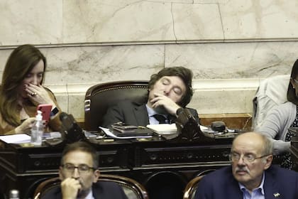 Javier Milei en la sesión en la Cámara de Diputados por el acuerdo con el FMI