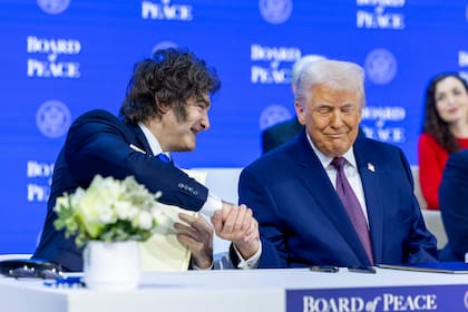 Javier Milei junto a Donald Trump en Davos