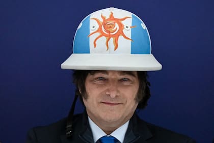 Javier Milei
(Luis ROBAYO / AFP)