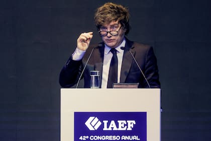 Javier Milei; Presidente de Argentina