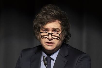 Javier Milei señaló que estaría dispuesto a sacar al país del Mercosur, si es necesario para concluir un acuerdo de libre comercio con EE.UU.