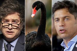 Javier Milei y Axel Kicillof