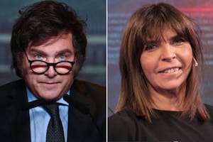 Milei atacó por redes a la periodista Silvia Mercado por un dato sobre sus perros