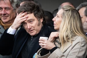 Milei informó un patrimonio de $206 millones en su nueva declaración jurada