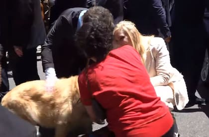 Javier Milei y su hermana se bajaron del auto para acariciar a un perro