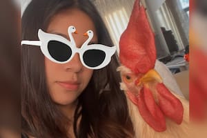 Jazmín cría a su gallo como si fuera cualquier otra mascota (Foto: @jazmine.04)