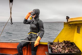 Mujeres marisqueras en la Patagonia Argentina