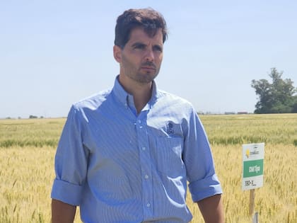 Jerónimo Costanzi, gerente de Desarrollo de Productos Autógamas, de GDM
