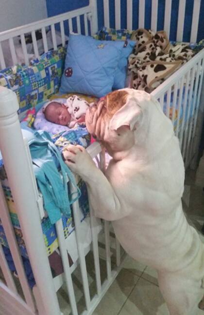 Jerónimo cuando era un bebé junto a Zeus, el bulldog que defiende a capa y espada