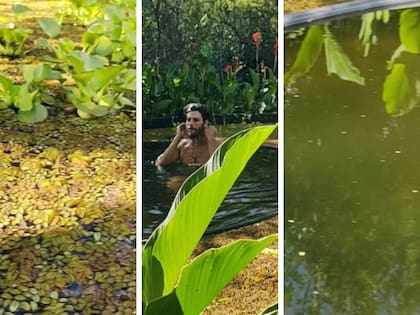 Jerónimo Weich mostró todos los detalles de su biopiscina