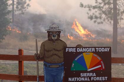 JERSEYDALE, CALIFORNIA - 24 DE JULIO: El fuego arde cerca de una señal de advertencia de incendio de Smokey the Bear mientras el Oak Fire arde en el área el 24 de julio de 2022 cerca de Jerseydale, California. El rápido movimiento de Oak Fire que arde fuera del Parque Nacional Yosemite ha forzado evacuaciones, ha carbonizado más de 14,000 acres y ha destruido varias casas desde que comenzó el viernes por la tarde. El fuego está contenido en un cero por ciento. Justin Sullivan/Getty Images/AFP
