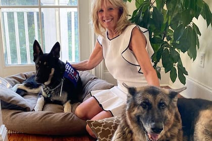 Jill Biden junto a sus perros Champ y Major