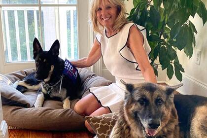 Jill Biden, la mujer del presidente norteamericano, con sus dos perros: Champ y Major