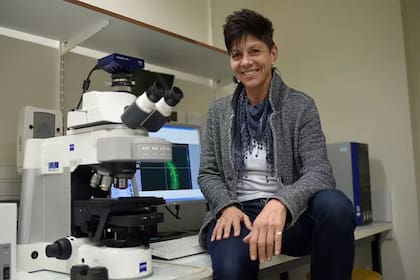 Jill Farrant lleva años estudiando plantas que puedan sobrevivir largos períodos sin agua