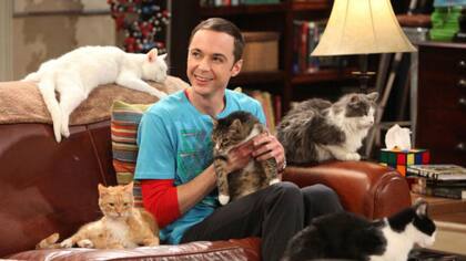 Jim Parsons como Sheldon Cooper en The Big Bang Theory