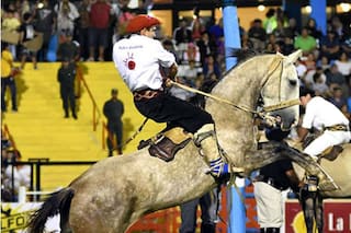 Tropilleros y caballadas que conmovieron con sus proezas