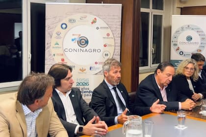 Joaquín Benegas Lynch, Lucas Magnano, Martín Ardohain, Mario Raiteri y Laura Llopi