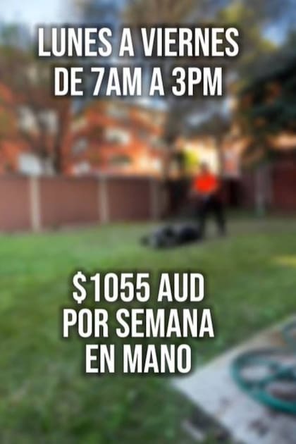 Joaquín contó lo que gana en su trabajo como jardinero en Australia y los seguidores quedaron asombrados