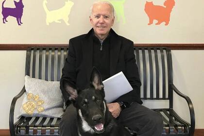 Joe Biden y su perro Major