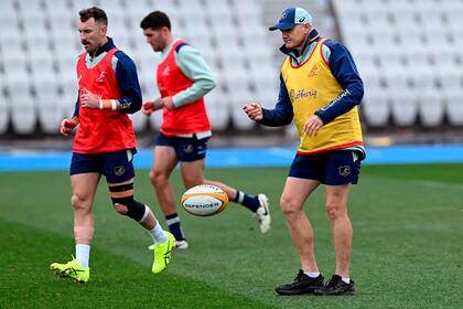 Joe Schmidt, coach de Wallabies y viejo conocido de Contepomi