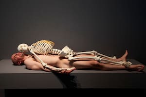 Un modelo que actuó desnudo en una performance demanda al MoMA
