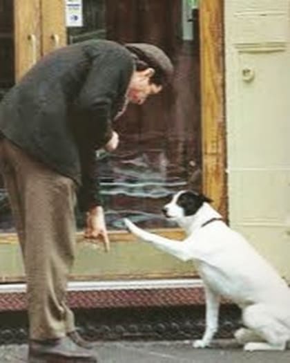 John John cuidada de él como un hijo