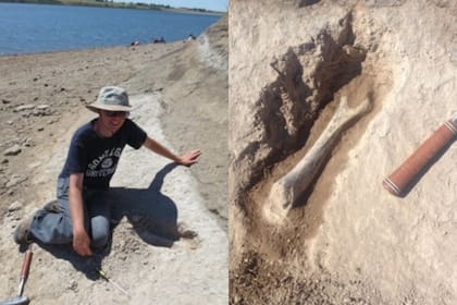 John Orcutt en el campo en el este de Oregon y el hueso del húmero excavado