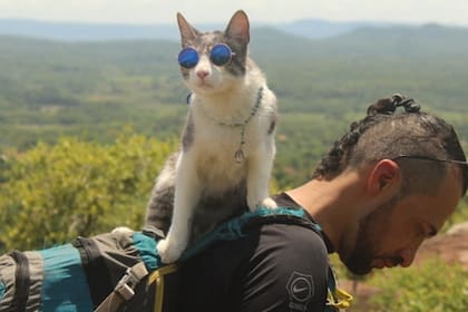 John y Bella criatura, el gato que lo acompaña en su gira por América: ya recorrieron juntos cinco países, antes de la pandemia de coronavirus