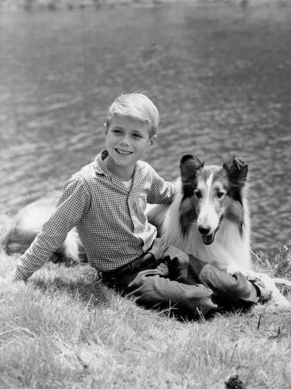 Jon Provost como Timmy