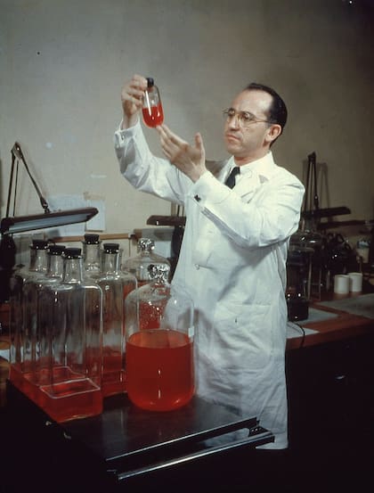 Jonas Salk fue un virólogo que desarrolló una de las vacunas efectivas contra la poliomielitis