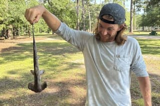 Jugaban golf en Carolina del Sur y lo que cayó del cielo los dejó perplejos: era un tiburón