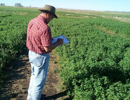 Jonathan Reich es el Breeder Alforex Seeds de la firma norteamericana