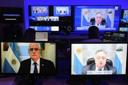 Jorge Taiana, en el plenario de comisiones de hoy