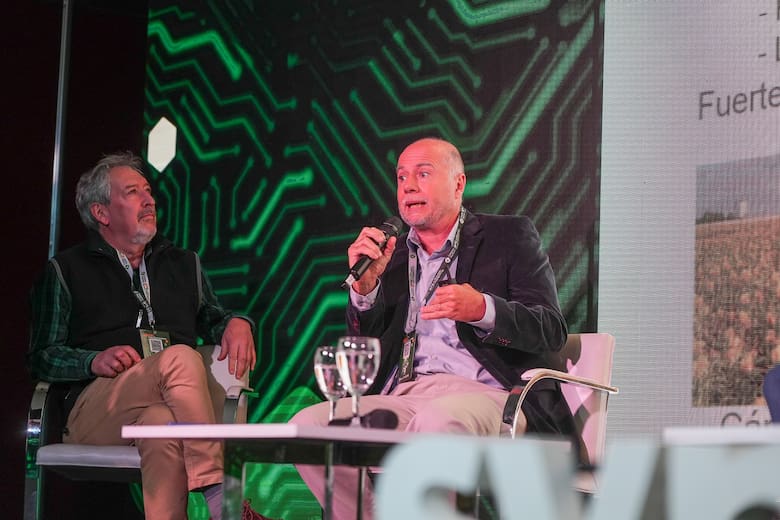Auge de cultivos invernales: colza, camelina y cártamo impulsan biocombustibles y mejoran la rotación agrícola