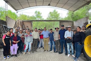 Necochea: matan a adolescente de una puñalada mientras otros grababan la pelea - Image 3